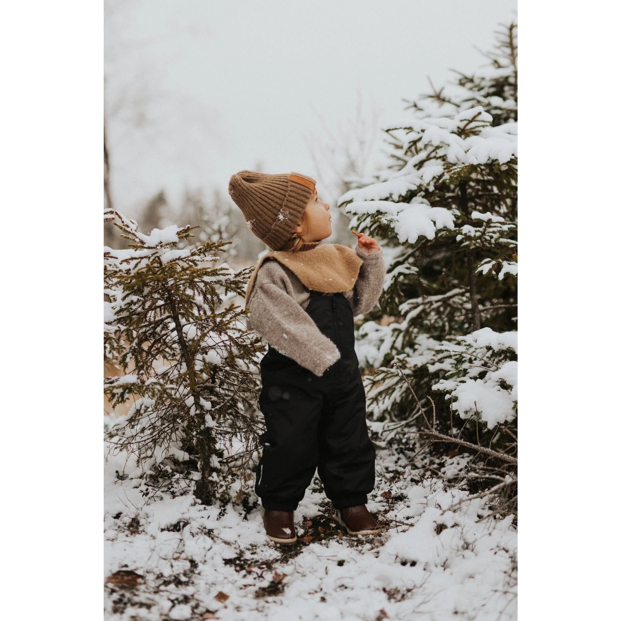 Product image 100